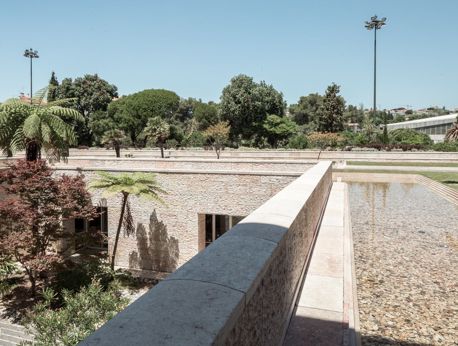 CCBCCB©Hugo Santos Silva100