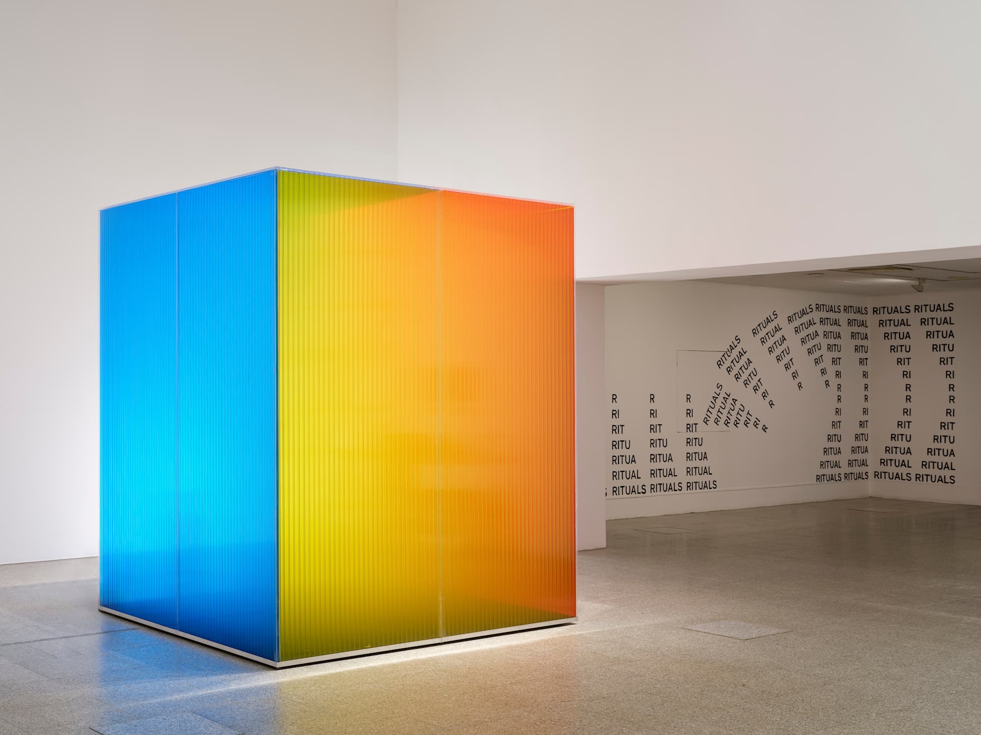 Vista de exposicão_AnnVeronicaJanssens©AJS_MAC_CCB